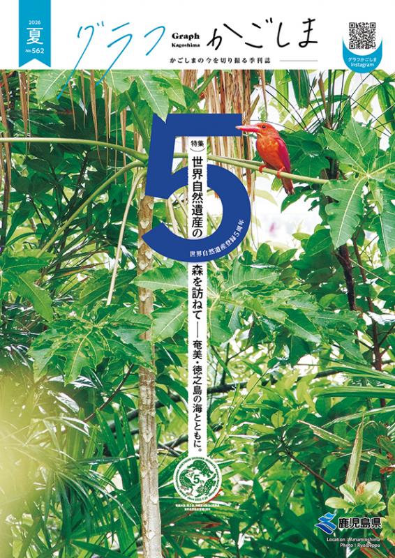 562表紙