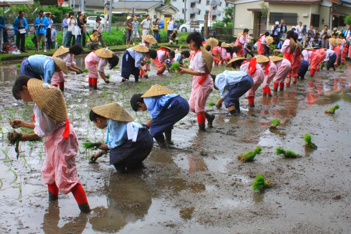 御田植祭