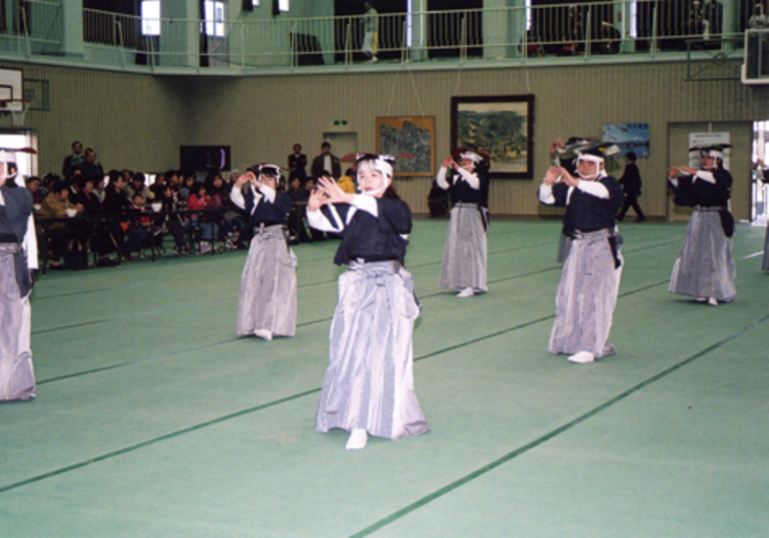 鷹踊り遠景