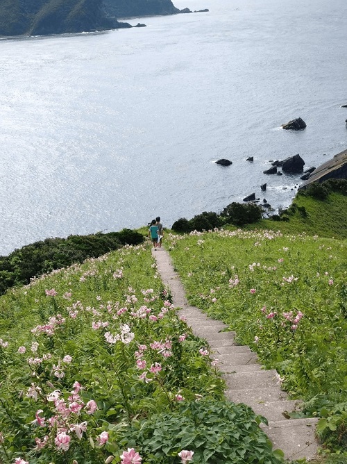 甑島銀