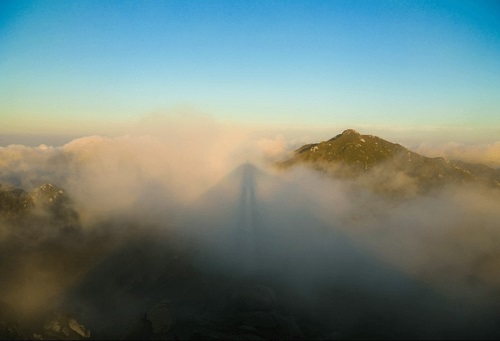 屋久島金