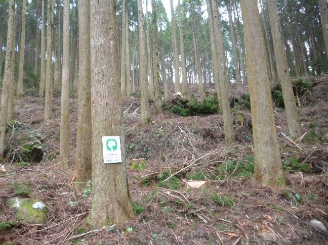 育ててつなぐ2