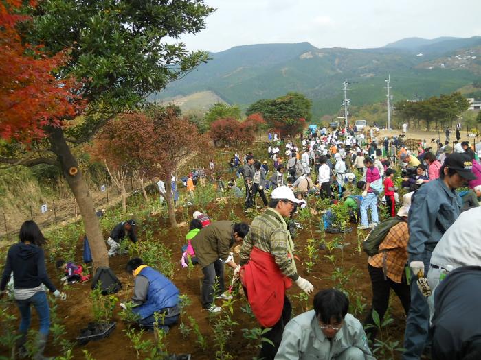 植栽（霧島市10万本H23認証）