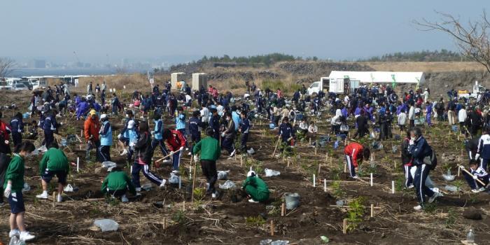 桜島どんぐりころころ植樹祭