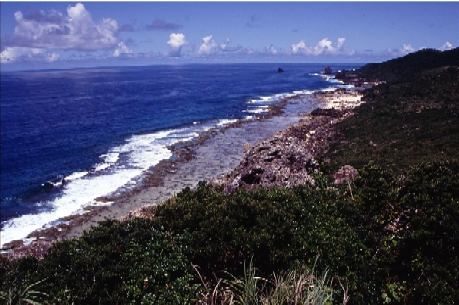 宝島