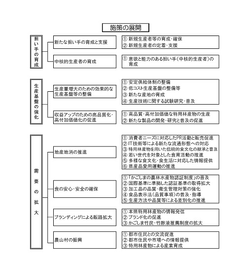 施策の展開