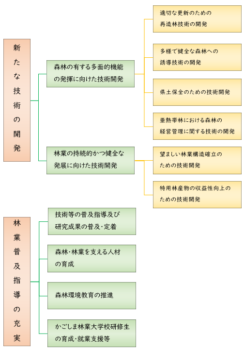 体系
