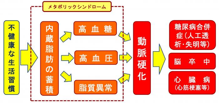 メタボから重篤疾患への流れ