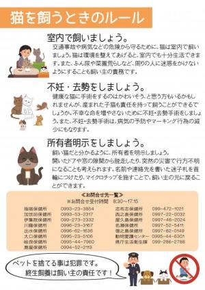 猫チラシ裏