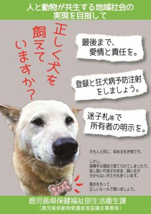 犬チラシ表