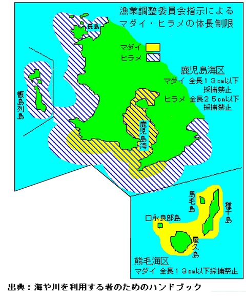 マダイヒラメ採捕禁止区域