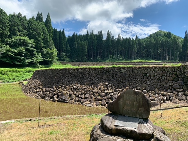 幸田の棚田1