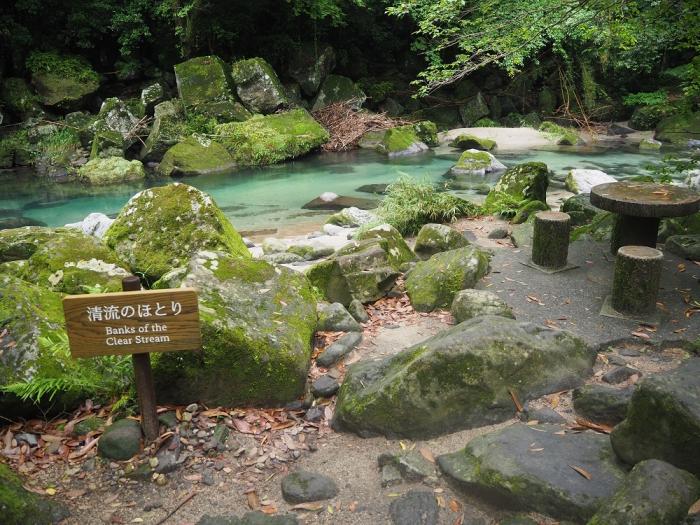 雄川の滝 道中