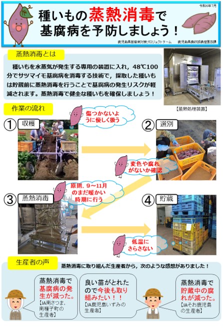 蒸熱チラシ