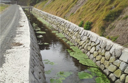 環境保全水路_出水・米ノ津の写真