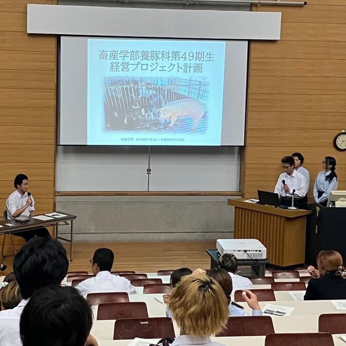 経営プロ計画