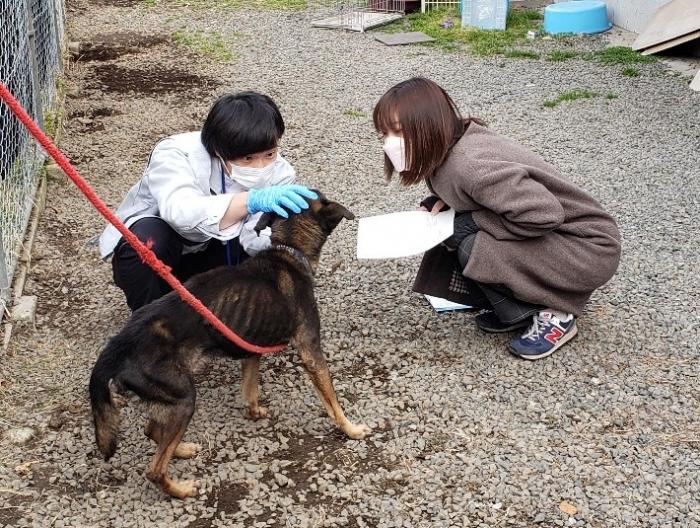 犬の健康観察
