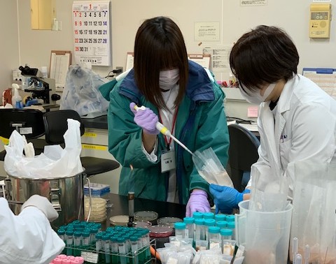 食肉衛生検査所_細菌検査