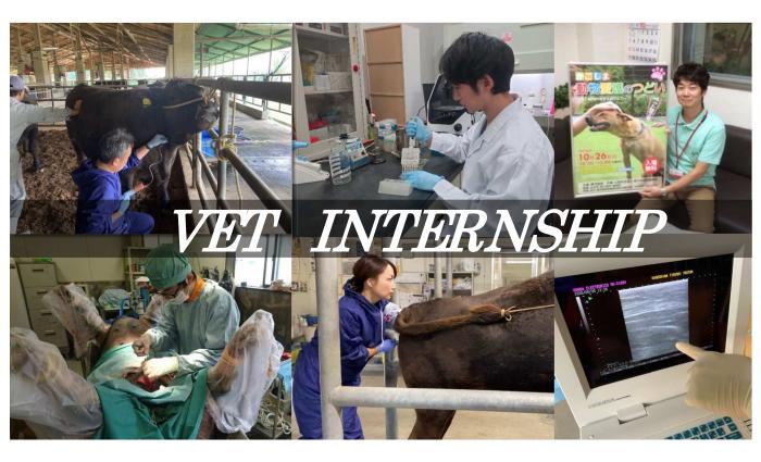  PowerPoint プレゼンテーショ