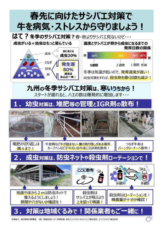 （都道府県担当者限り）春先に向けたサシバエ対策リーフレット