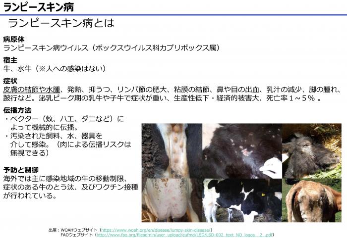 ランンピースキン病とは