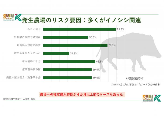 イノシシ