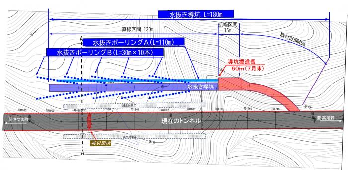 平面図