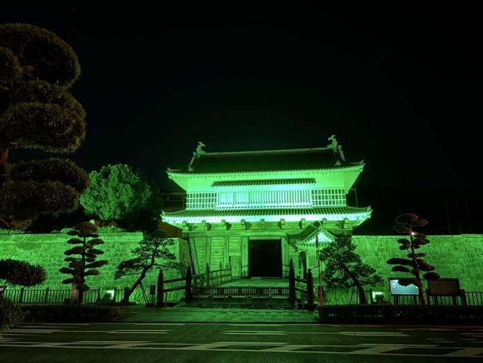 鶴丸城