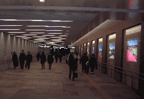 鹿児島中央駅公共地下通路（鹿児島市）