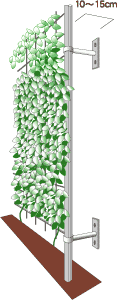 ネット＋つた類による壁面緑化