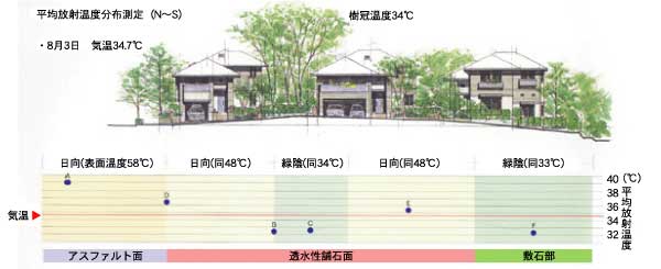 平均放射温度分布測定結果