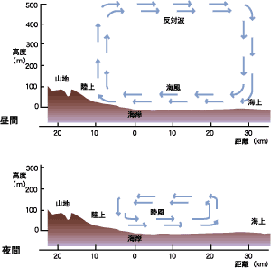 昼夜間における海陸風の循環モデル