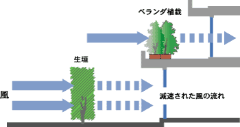 植物による風の流れの調節