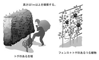 防犯効果のある生垣