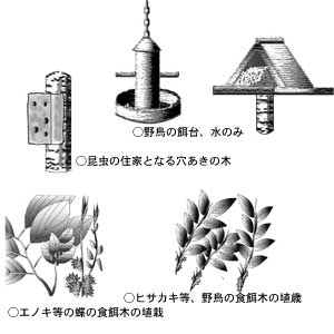 生き物を呼び込むための工夫1