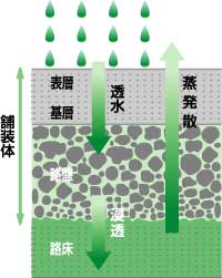 透水性舗装の概念図