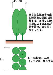 密な生垣