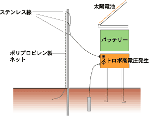 ハブ侵入防止電気柵断面図