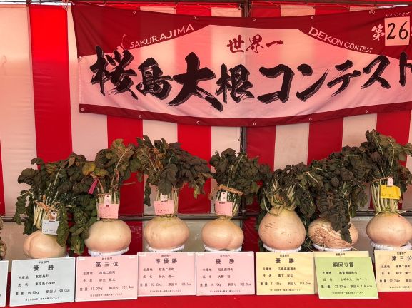 桜島大根（受賞）