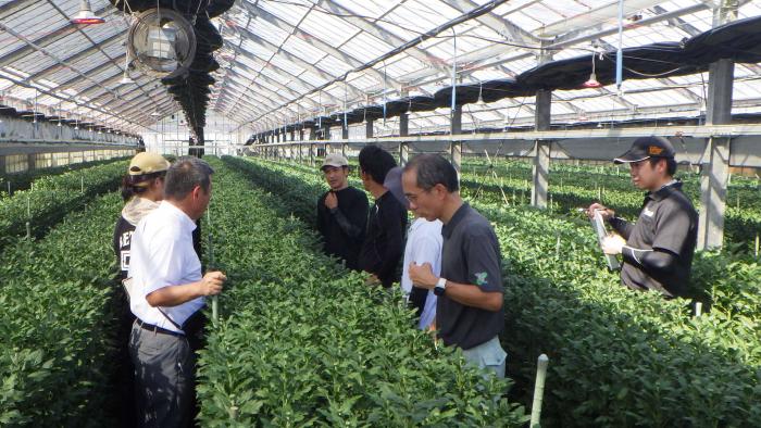 周年菊研修会1