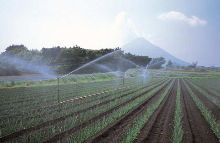 スプリンクラー（背景開聞岳）