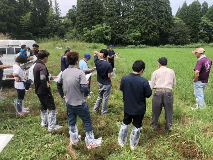 畜産部門