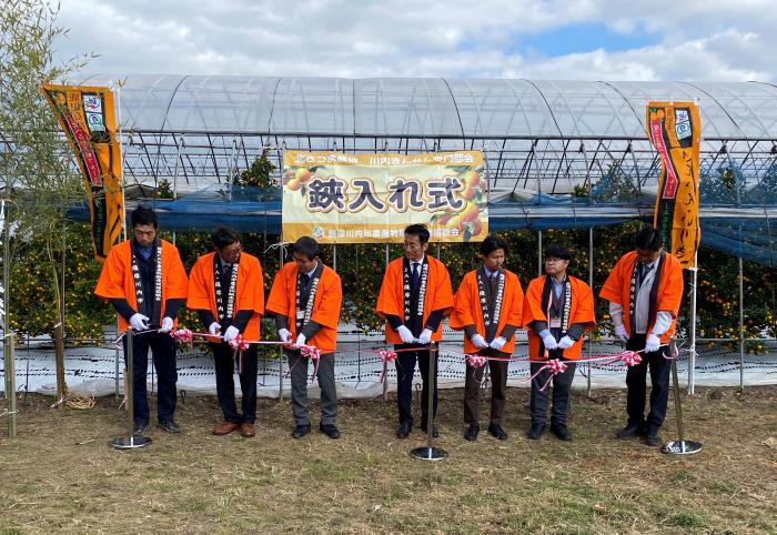 きんかん鋏入れ式