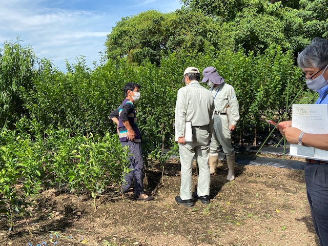 果樹苗木研修会