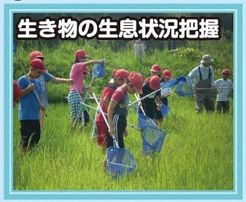 09生き物の生息把握