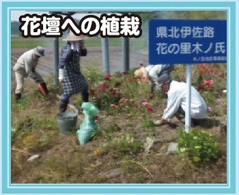 12花壇への植栽