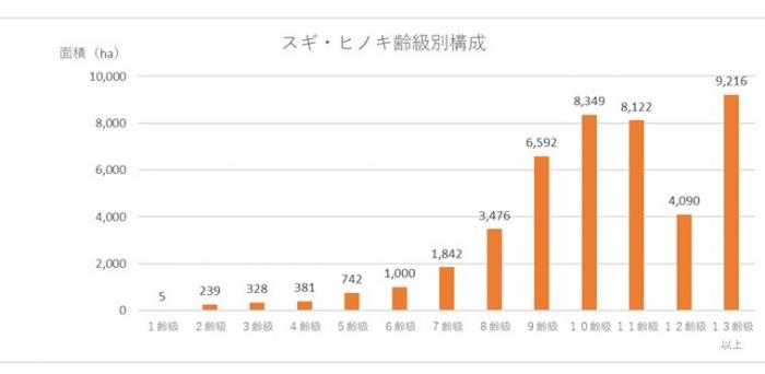 スギヒノキ齢級構成