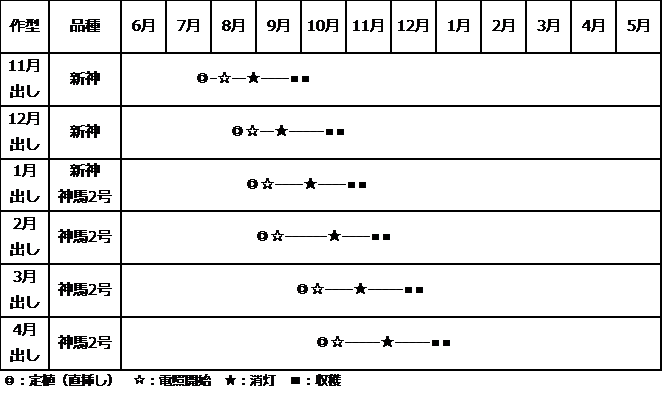 新神・神馬2号作型