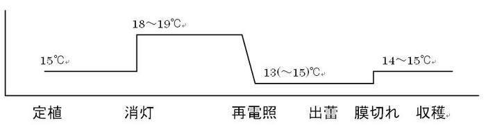 「新神」の温度管理