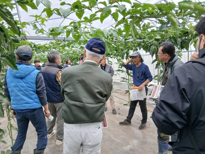 研修のようす(果樹)